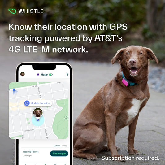 Whistle GPS + Salud + Fitness - Rastreador GPS para Perros y Monitor de Salud y Fitness, Resistente al Agua, Alertas de Escapada de Lugar Seguro, Luz Nocturna Integrada, Compatible con Collares de Perro, GO Explore, Magenta - YETEK