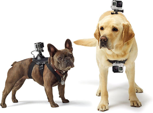 GoPro - Arnés para Perro con Montura para Cámara, Ajustable y Resistente al Agua, Color Negro - YETEK